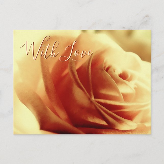 Love Rose Flower Customisable Postcard (Front)