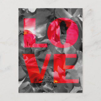 Love Rose Postcard