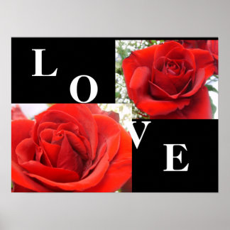 LOVE Roses Poster