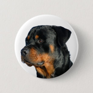 Love Rottweiler Black & Brown Puppy Dog Pin Button