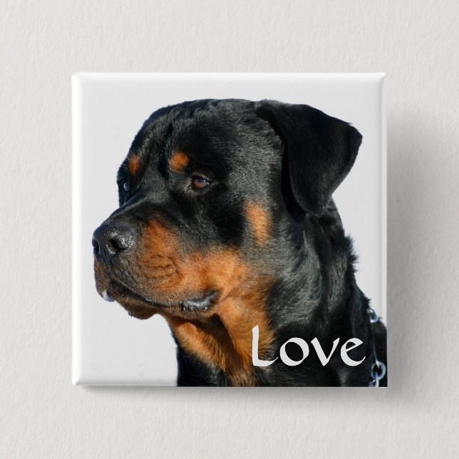 Love Rottweiler Black & Brown Puppy Dog Pin Button (Front)