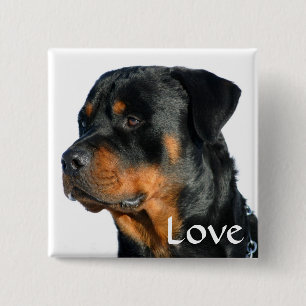 Love Rottweiler Black & Brown Puppy Dog Pin Button