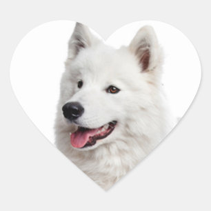 Love Samoyed Puppy Dog Sticker / Seal