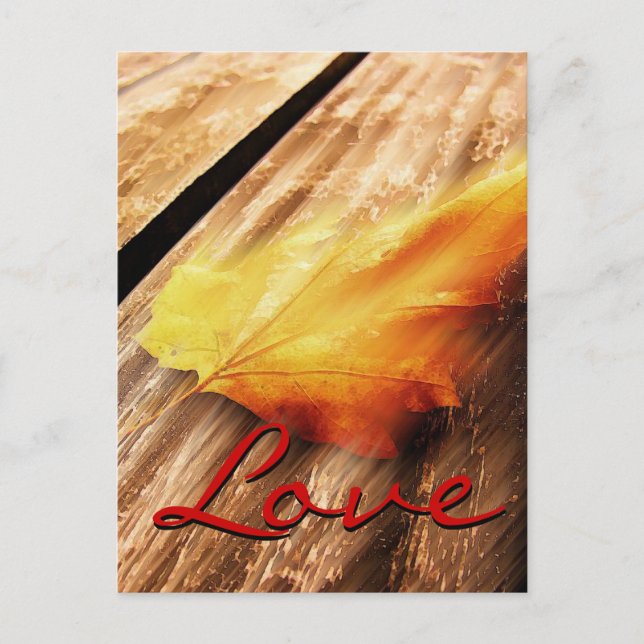 Love Script Falling Leave Postcard (Front)