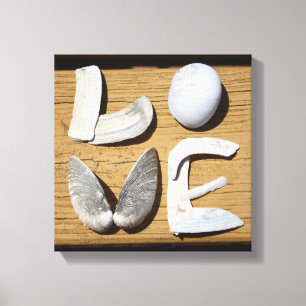 LOVE Sea Shell Canvas Print
