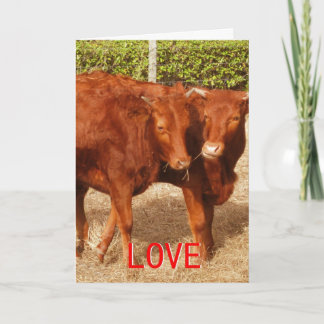 Love Sharing Holiday Card