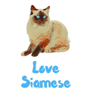 Love Siamese Cats Cushion