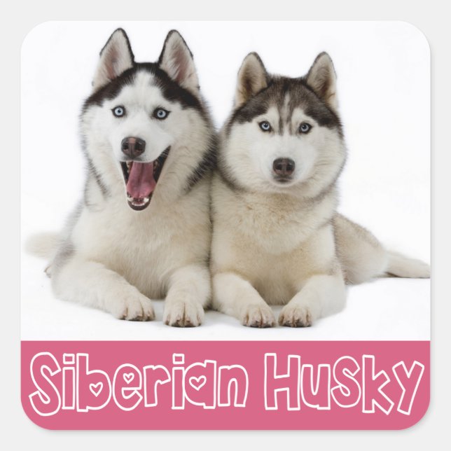 Love Siberian Husky Puppy Dog Greeting Stickers (Front)