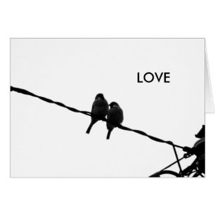 Love/Sparrow Pair B&W Photo Card
