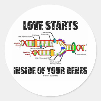 Love Starts Inside Of Your Genes (DNA Replication) Classic Round Sticker