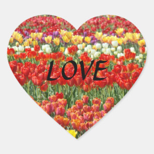 LOVE stickers heart shaped Red Tulips Flowers