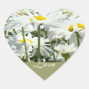 Love stickers White Daisy Flowers Weddings Brides