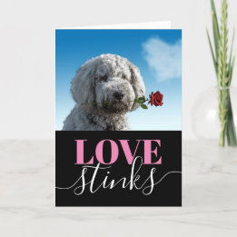 Love Stinks Funny Photo Valentine's Day Holiday Ca