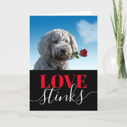 Love Stinks Funny Photo Valentine's Day Holiday Ca