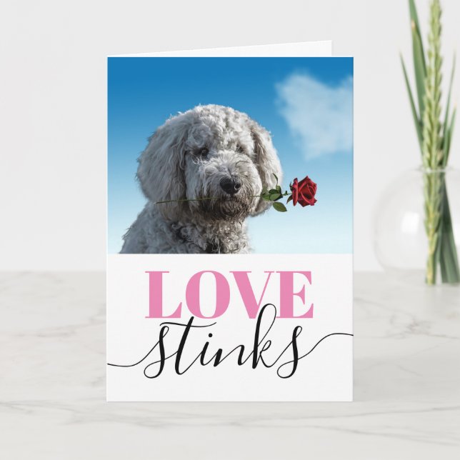 Love Stinks Funny Photo Valentine's Day Holiday Card (Front)