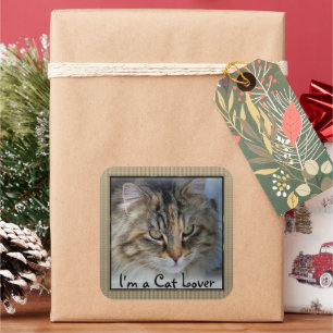 Love Tabby Cat Square   Square Sticker