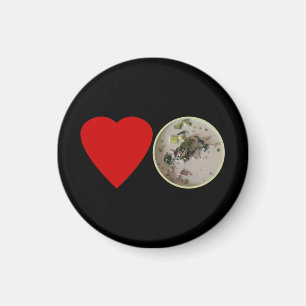 Love Thai Green Curry ... Thailand Street Food Magnet