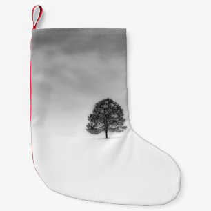 LOVE THE SIMPLICITY OF WINTER PHOTOGRAPHY THIS IS  SMALL CHRISTMAS STOCKING