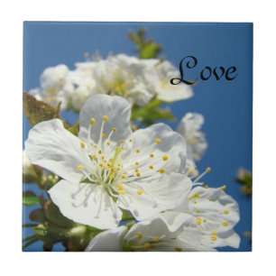 Love tile art Blue Sky Cherry Blossoms Flowers