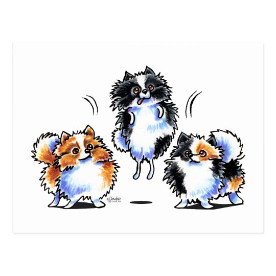 Love to Parti Pomeranians Postcard