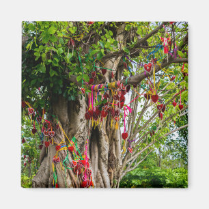 Love tree, Zhonghe - Yunnan, China Magnet