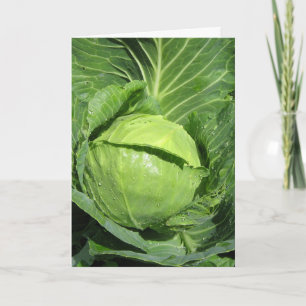 Love Veggies Greeting Card