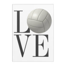 LOVE Volleyball Acrylic Wall Art