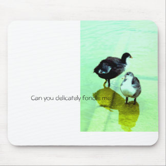 love, water and we live mouse mat