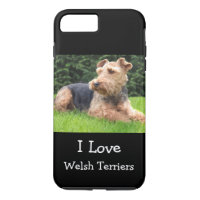 Love Welsh Terrier Dogs