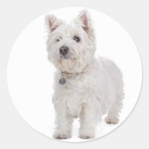 Love West Highland Terrier Puppy Dog Sticker Seal