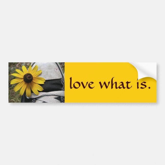 love what is 2 bumper sticker (Front)