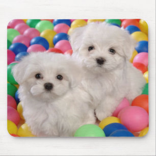 Love White Bichon Frise Puppy Dog Mousepad
