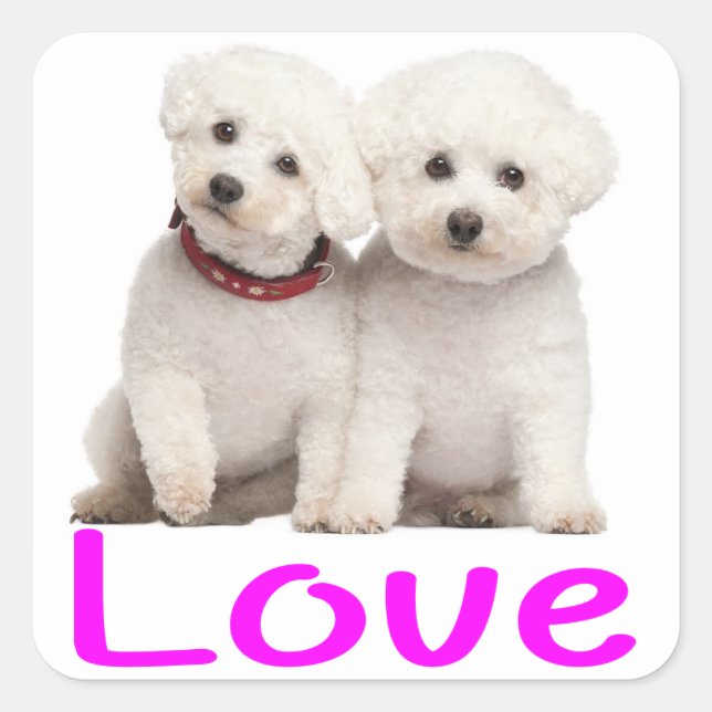 Love White Bichon Frise Puppy Dog Stickers (Front)