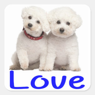 Love White Bichon Frise Puppy Dog Stickers