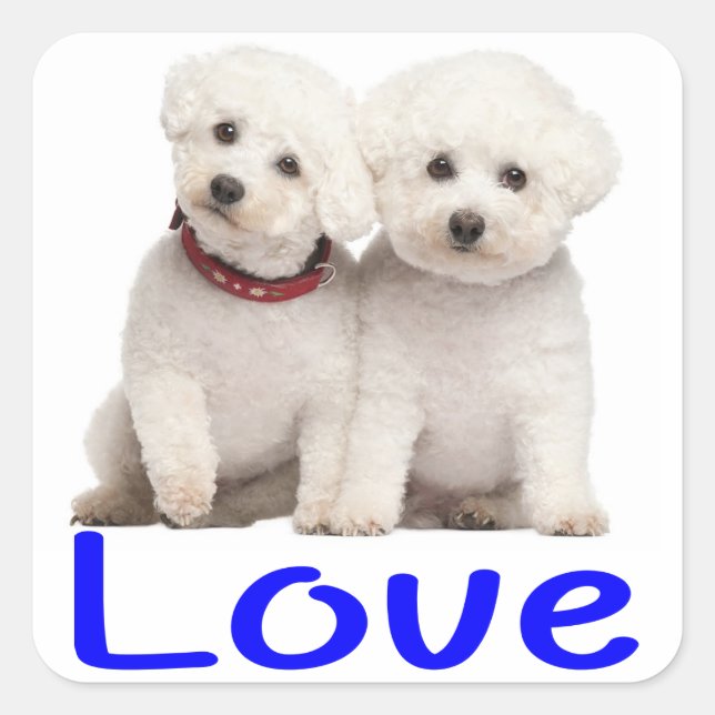 Love White Bichon Frise Puppy Dog Stickers (Front)