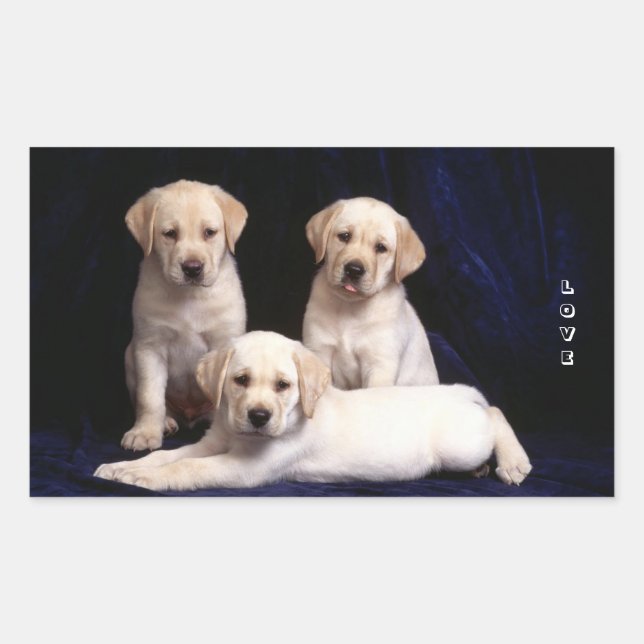 Love White Labrador Retriever Puppy Dog Stickers (Front)