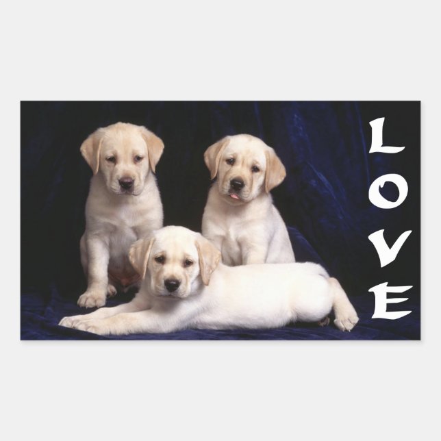 Love White Labrador Retriever Puppy Dog Stickers (Front)