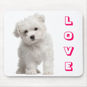 Love White Maltese Puppy Dog Mouse Pad