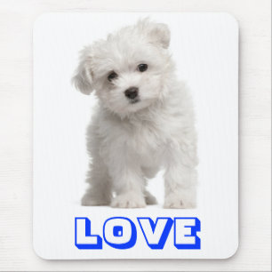 Love White Maltese Puppy Dog Mouse Pad