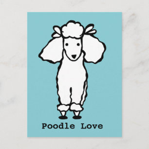 Love White Poodle Dog Postcard