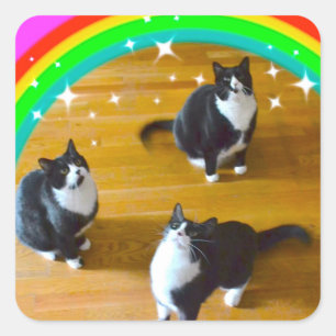 Love Wins TuxedoTrio Stickers