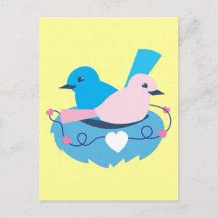 Love wrens lovebirds nest postcard