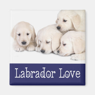 Love Yellow Labrador Retreiver Puppies Magnet