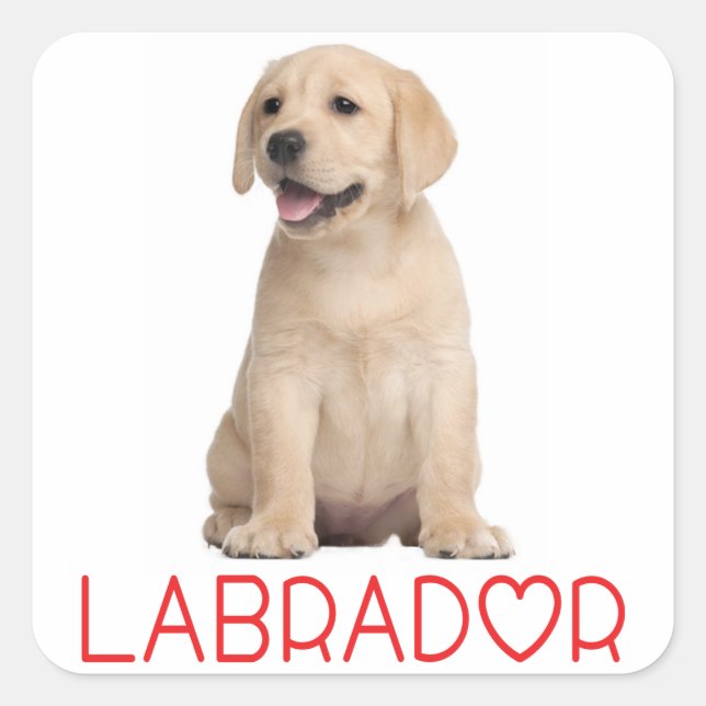 Love Yellow Labrador Retriever Puppy Dog Stickers (Front)