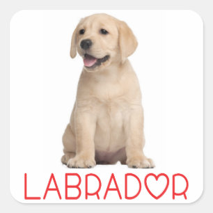 Love Yellow Labrador Retriever Puppy Dog Stickers