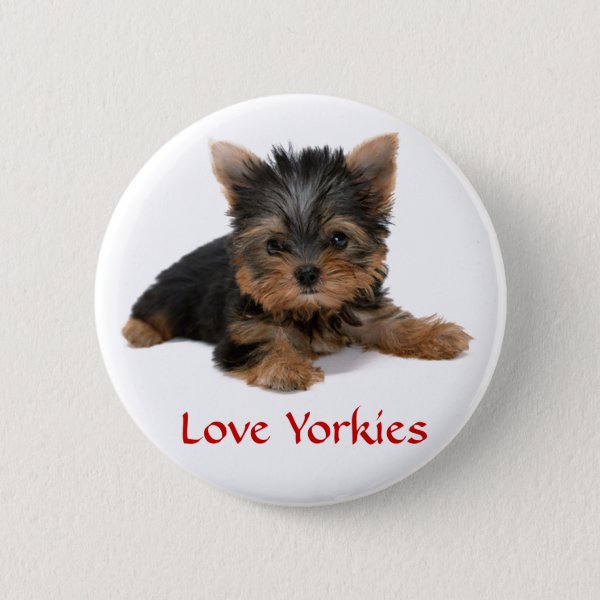 yorkie gifts