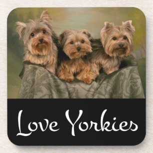 Love Yorkies Yorkshire Terrier Puppy Dog Coaster