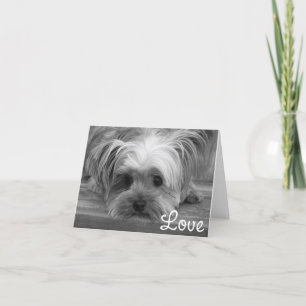 Love Yorkshire Terrier Puppy Dog Blank Card