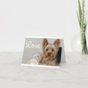 Love Yorkshire Terrier Puppy Dog Blank Card