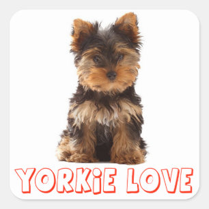 Love Yorkshire Terrier Puppy Dog Sticker / Seals